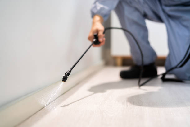 Professional exterminator conducting IPM assessment in Cherryville