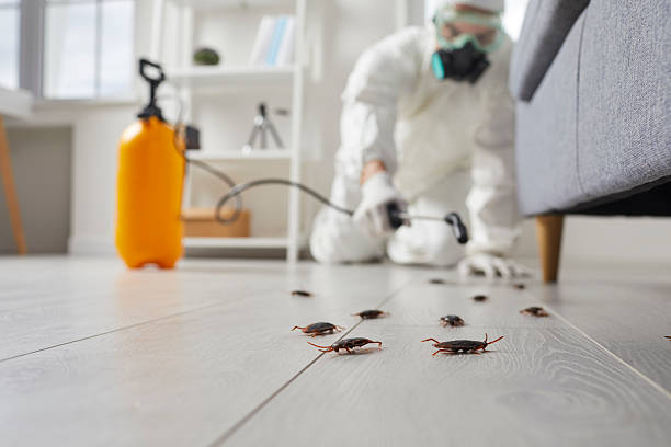 Post-Treatment Bed Bug Interceptor Monitoring in Cherryville