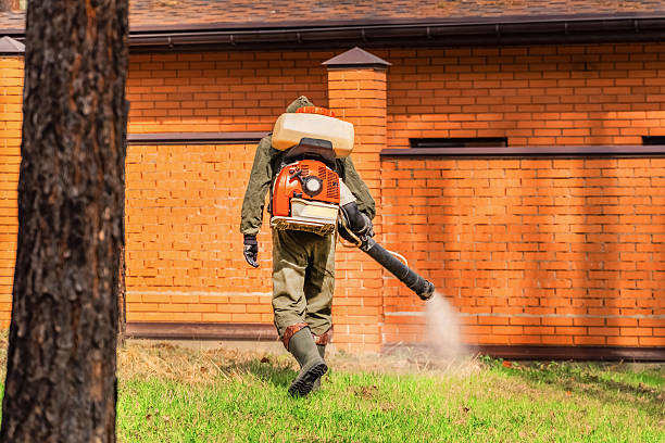 Bed Bug Clearance Verification and Documentation in Cherryville